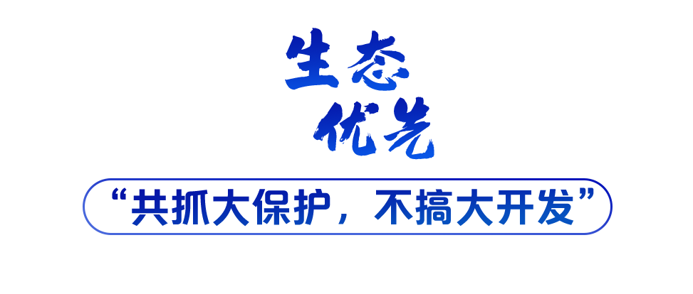 學習關鍵詞丨聽，長江經濟帶高質量發(fā)展“協(xié)奏曲”