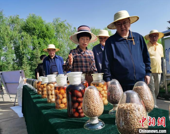 青海：利用冷涼氣候，打造高原綠色種業(yè)輸出地