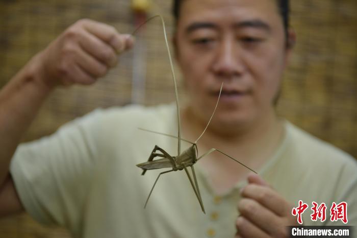 石家莊民間手藝人的草編技藝：葉稈的另一種姿態(tài)