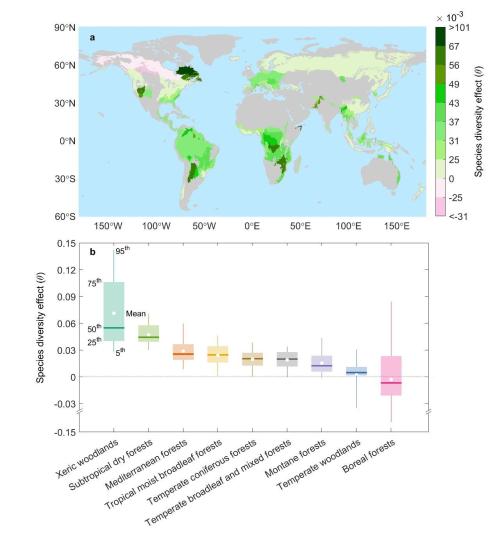 中國繪制世界首幅全球樹種多樣性對森林抵抗力影響空間分布圖