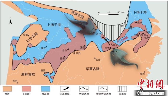 華南地區(qū)志留紀(jì)早期古地理圖和盔甲魚類化石產(chǎn)地(山顯任改自陳旭、戎嘉余，1996；戎嘉余等，2012) 中科院古脊椎所 供圖