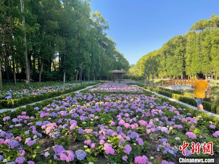 納民意、匯民智上海努力讓“公園城市”建設(shè)真正“合民心”