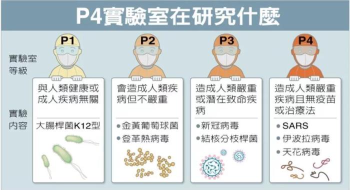 P4實(shí)驗(yàn)室在研究什么。臺(tái)灣聯(lián)合新聞網(wǎng)資料圖