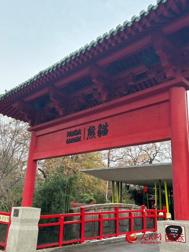 柏林動物園的熊貓館，占地約5500平方米。人民網(wǎng)記者 徐馨攝