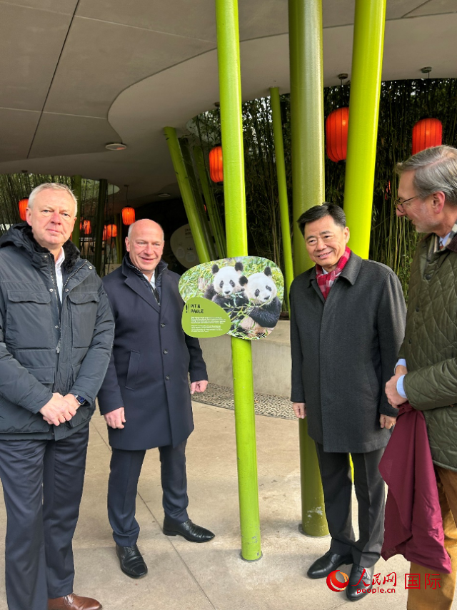 中國駐德國大使吳懇（右二）、柏林市長韋格納（左二）、動物園園長克尼里姆（右一）和監(jiān)事會主席布魯克曼（左一）共同為“夢想”“夢圓”大熊貓紀念牌揭幕。人民網(wǎng)記者 徐馨攝