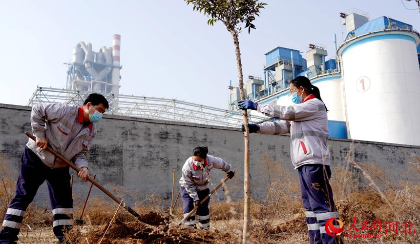 邢臺金隅職工在石邢公路沿線植樹。 宋繼昌攝