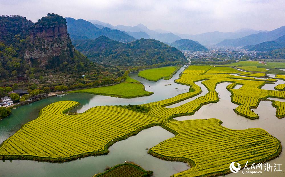 3月28日，航拍浙江省臨海市桃渚鎮(zhèn)桃江十三渚盛開的油菜花景色。人民網(wǎng) 章勇濤攝