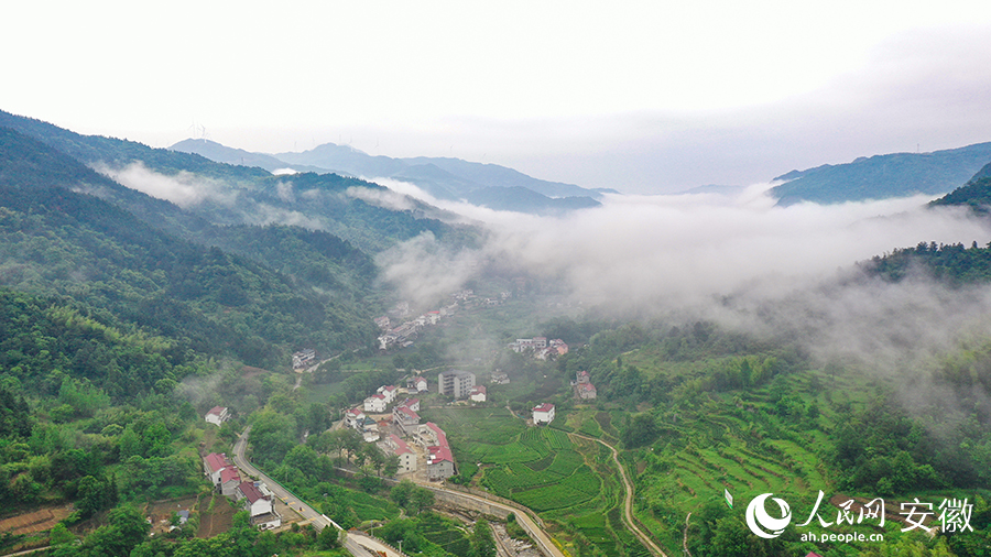 雨后的金寨大灣村，云霧環(huán)繞，宛如一幅田園山水畫卷。人民網(wǎng) 張俊攝