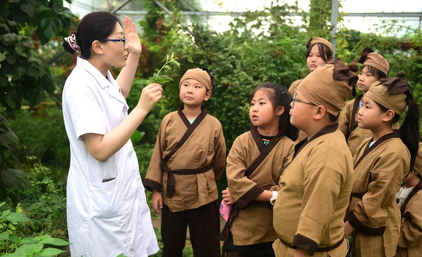 參加活動(dòng)的孩子聆聽滄州市人民醫(yī)院國醫(yī)館中醫(yī)對(duì)中藥材的講解。 傅新春攝