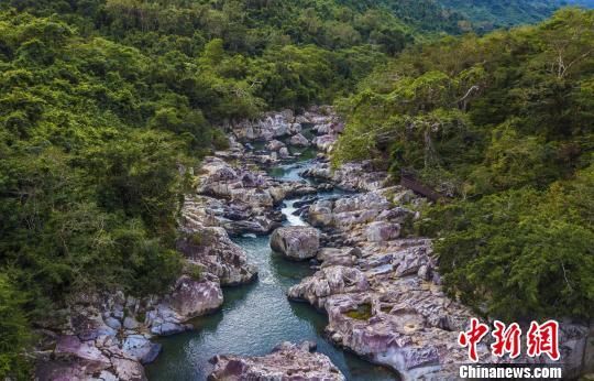 2018年海南生態(tài)環(huán)境狀況等級(jí)為“優(yōu)”，植被覆蓋率高，生物多樣性豐富，生態(tài)系統(tǒng)穩(wěn)定，圖為海南中部熱帶雨林。　駱云飛　攝