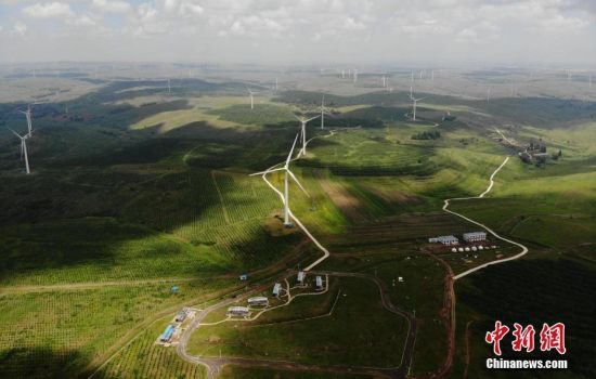 6月28日，河北張家口張北草原上大片風(fēng)力發(fā)電的“風(fēng)車”規(guī)模宏大。 中新社記者 楊艷敏 攝