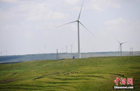 6月28日，河北張家口張北草原上大片風(fēng)力發(fā)電的“風(fēng)車”規(guī)模宏大。 中新社記者 楊艷敏 攝