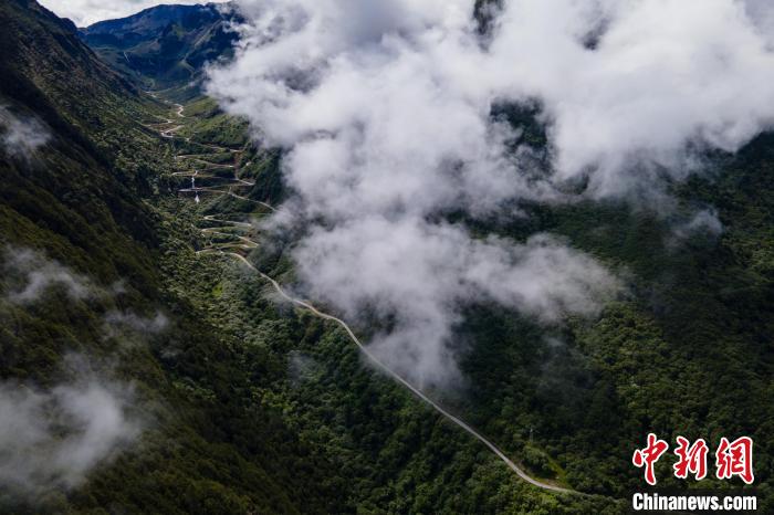 西藏山南勒布溝景區(qū)的盤山公路被云霧環(huán)繞?！〗w波 攝