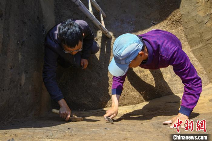 探秘古航道上的大型墓葬群：龍山、唐朝等數(shù)千年文化同步展現(xiàn)