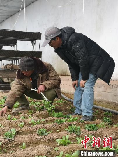 圖為尼瑪扎西(右)與西藏農(nóng)民聊天(資料圖)。西藏農(nóng)科院 供圖