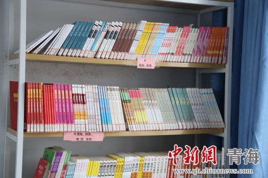 圖為“安康圖書館”項目為日月鄉(xiāng)哈城中心小學(xué)配置的圖書。張海雯攝