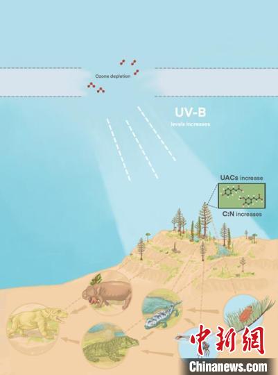 臭氧層破壞引起的紫外線輻射增加對陸地食物鏈的影響?！∧瞎潘?供圖