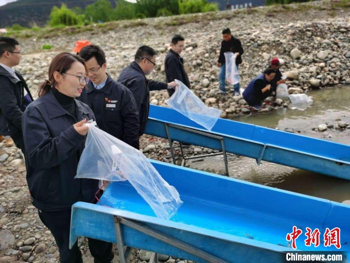 尼洋河珍稀魚類物種保護(hù)彰顯魚“水”深情