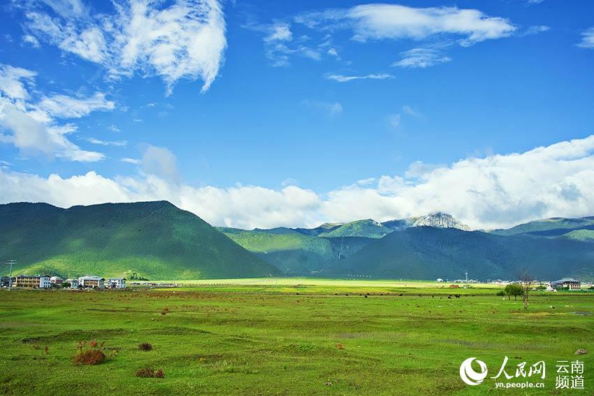 納帕海濕地風(fēng)景。呂昊辰攝