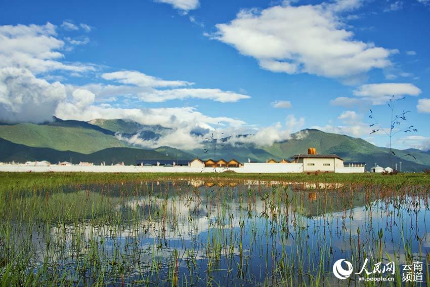 納帕海濕地風(fēng)景。呂昊辰攝