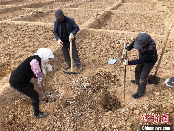 資料圖為建行青海省分行綠化區(qū)施工隊隊員處理亂石。　建行青海省分行供圖