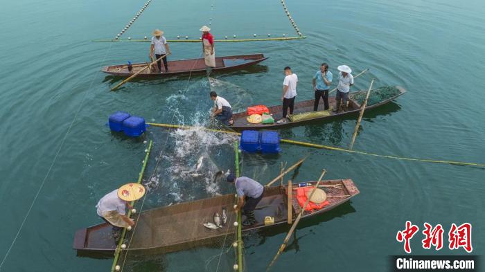 捕魚現(xiàn)場?！≈鬓k方供圖