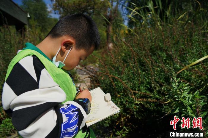 圖為小朋友在青海西寧湟水國(guó)家濕地公園內(nèi)認(rèn)識(shí)植物并進(jìn)行繪畫。　馬銘言 攝