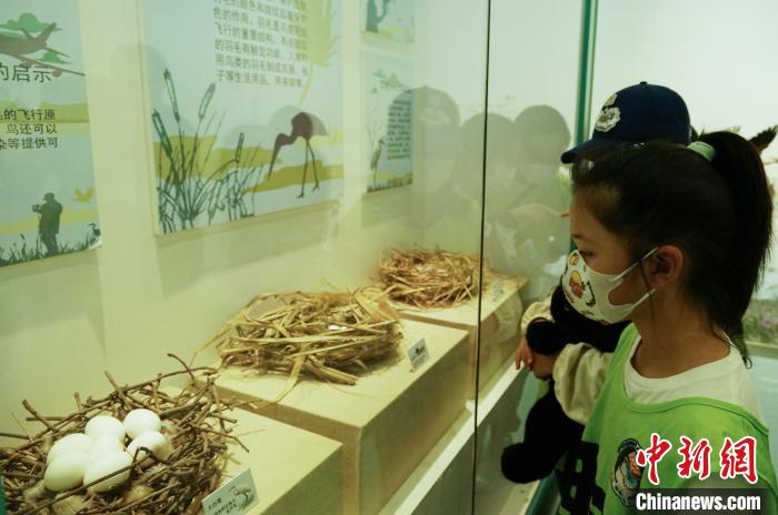 圖為小朋友在青海西寧湟水國(guó)家濕地公園科普館內(nèi)參觀學(xué)習(xí)。　馬銘言 攝