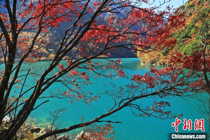 松坪溝風(fēng)光。　何清海 攝