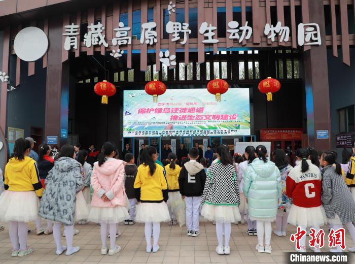 圖為青海省西寧市開展第42屆“愛鳥周”科普宣傳活動?！●R銘言 攝