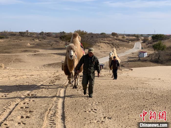 圖為科爾沁沙地中的兩名牽駝人。　奧藍 攝