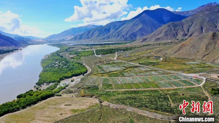 圖為桑日縣葡萄種植基地。　山南桑日縣委宣傳部提供