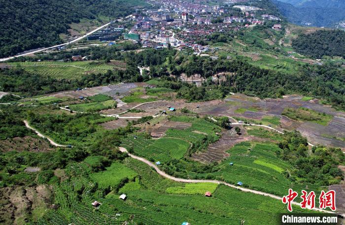 圖為西藏林芝市墨脫縣城附近的茶田。(無人機(jī)照片) 李林 攝