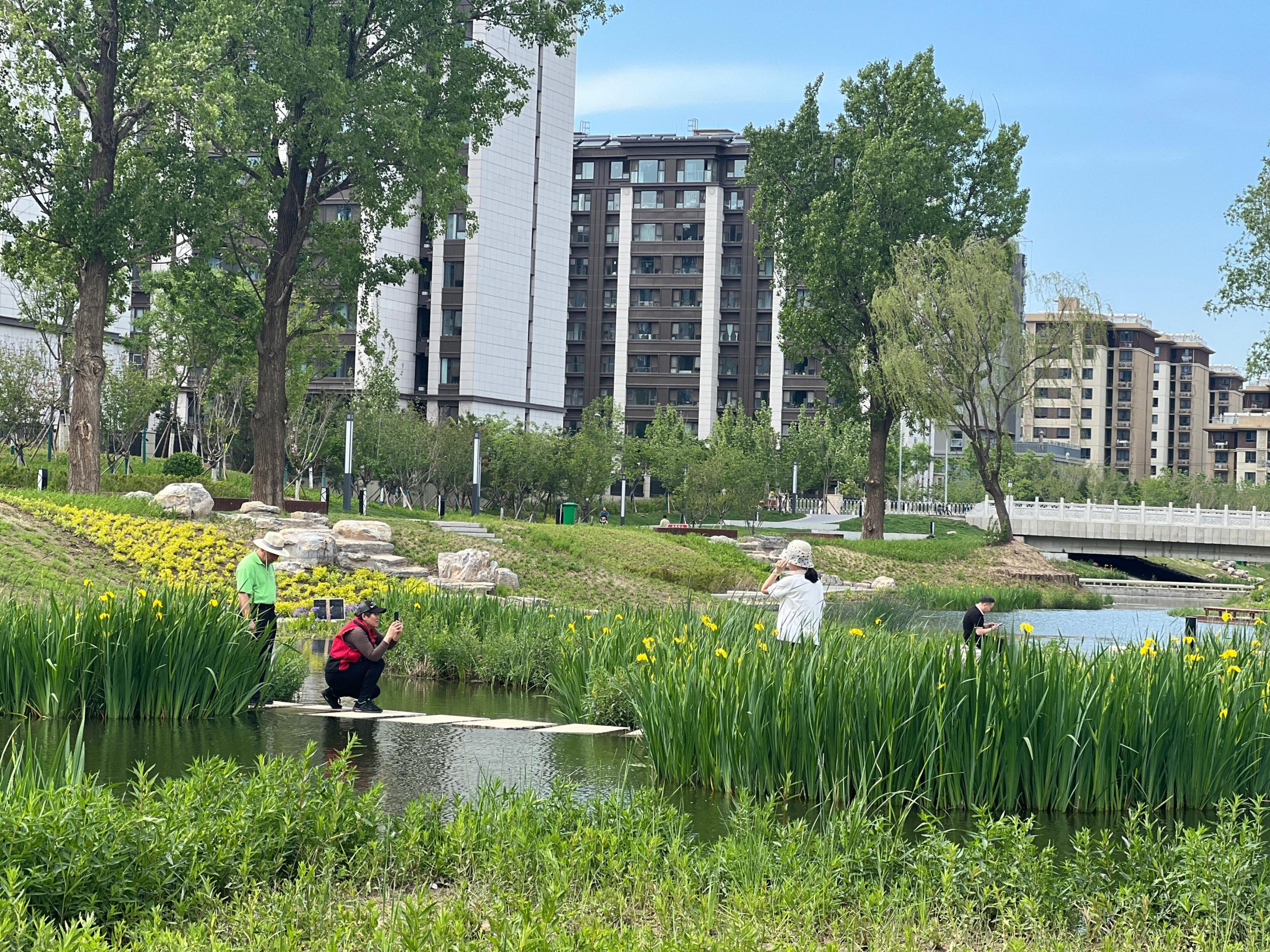 五一渠生態(tài)濱河公園內，市民正在拍照留念。人民網 歐陽易佳攝