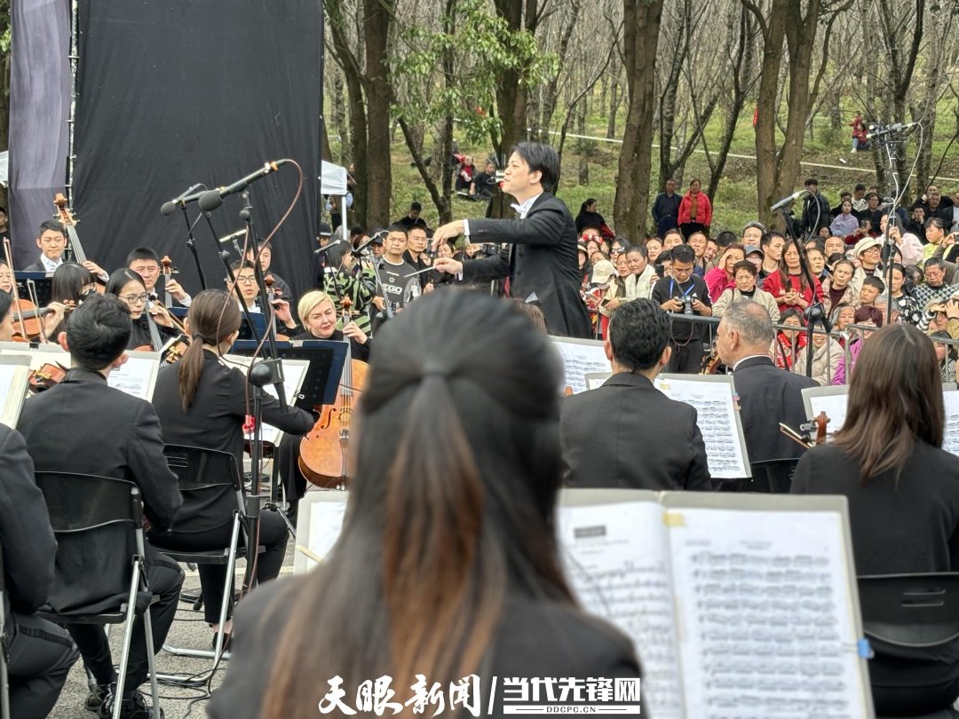 貴陽(yáng)路邊音樂會(huì)·貴安櫻花園專場(chǎng)交響樂現(xiàn)場(chǎng)。丁亞 文丹 攝