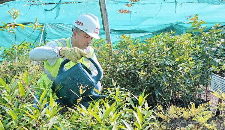 資訊有故事丨秘魯安第斯國家公路項目 “為當(dāng)?shù)孛癖娦藿ㄐ腋：陀颜x之路”