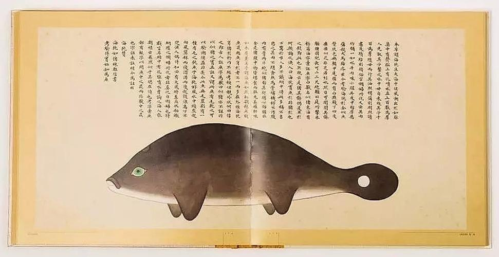 文化中國行 長江之歌丨微笑的江豚，從四千年前“游”來