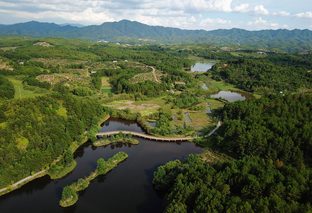 福建省龍巖市長(zhǎng)汀縣的長(zhǎng)汀汀江國(guó)家濕地公園景色（2020年7月28日攝，無(wú)人機(jī)照片）。新華社記者 魏培全 攝