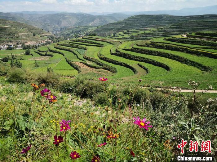 甘肅組建社會(huì)團(tuán)體智庫(kù)和能人聯(lián)手“架橋”助推醫(yī)藥健康產(chǎn)業(yè)