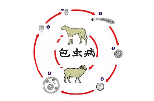 無標(biāo)題.jpg