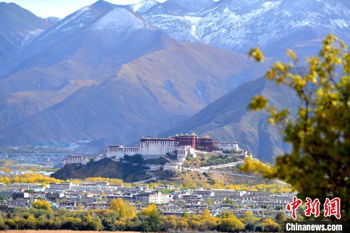 10月24日，雪山、布達(dá)拉宮和秋色組成“風(fēng)景畫”?！〗w波 攝