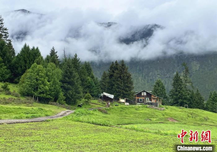 6月10日，魯朗小鎮(zhèn)高山牧場景區(qū)風(fēng)光。　冉文娟 攝