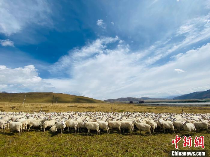 三江源國家公園：科技畜牧支撐生態(tài)保護和區(qū)域經濟協(xié)調發(fā)展