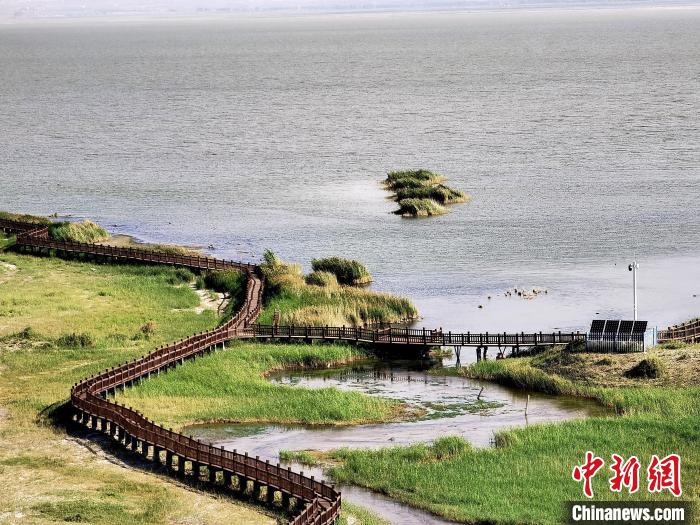 圖為都蘭湖國(guó)家濕地公園觀光棧道?！∑钤鲚?攝