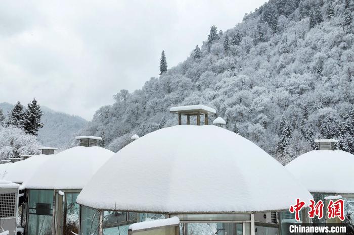 大熊貓國家公園王朗片區(qū)春雪如畫，宛若仙境。　羅春平 攝