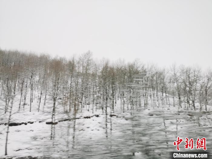 圖為青海青沙山區(qū)域被降雪覆蓋?！?zhí)砀?攝