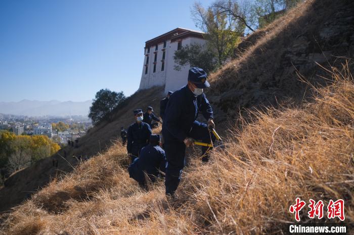 圖為消防員分成5個小隊在除草。　何蓬磊 攝