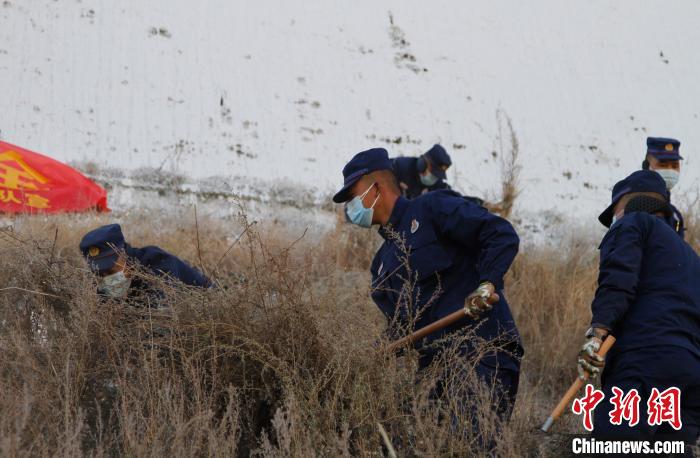 圖為200余名消防員在布達拉宮后山集合除草?！≮w朗 攝