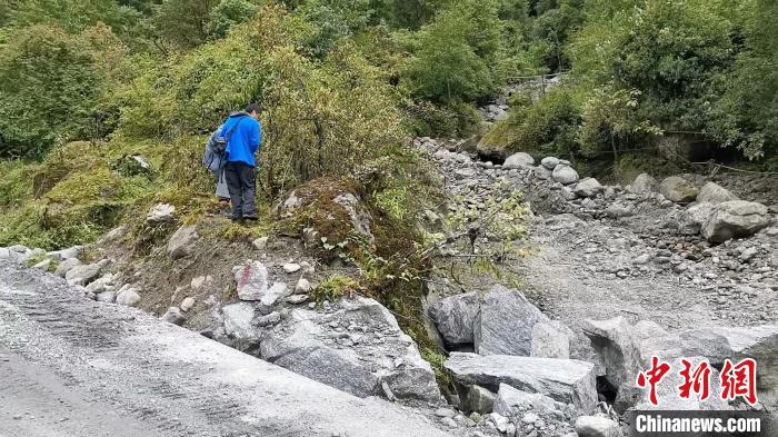 圖為折萼杜鵑被嚴(yán)重干擾的生境。　中科院昆明植物研究所提供