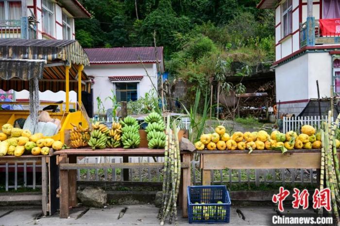 墨脫公路沿線，百姓擺攤銷售當?shù)匚锂a(chǎn)，包含香蕉、甘蔗、檸檬等。(<a target='_blank' href='/'><p  align=